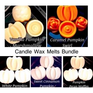 Pumpkin Scent Bath and Body Works Candle Wax Melt Bundle